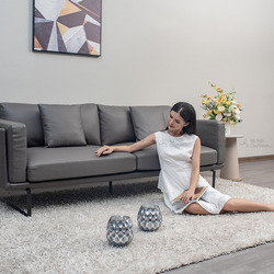 sofa phong khach da that 1