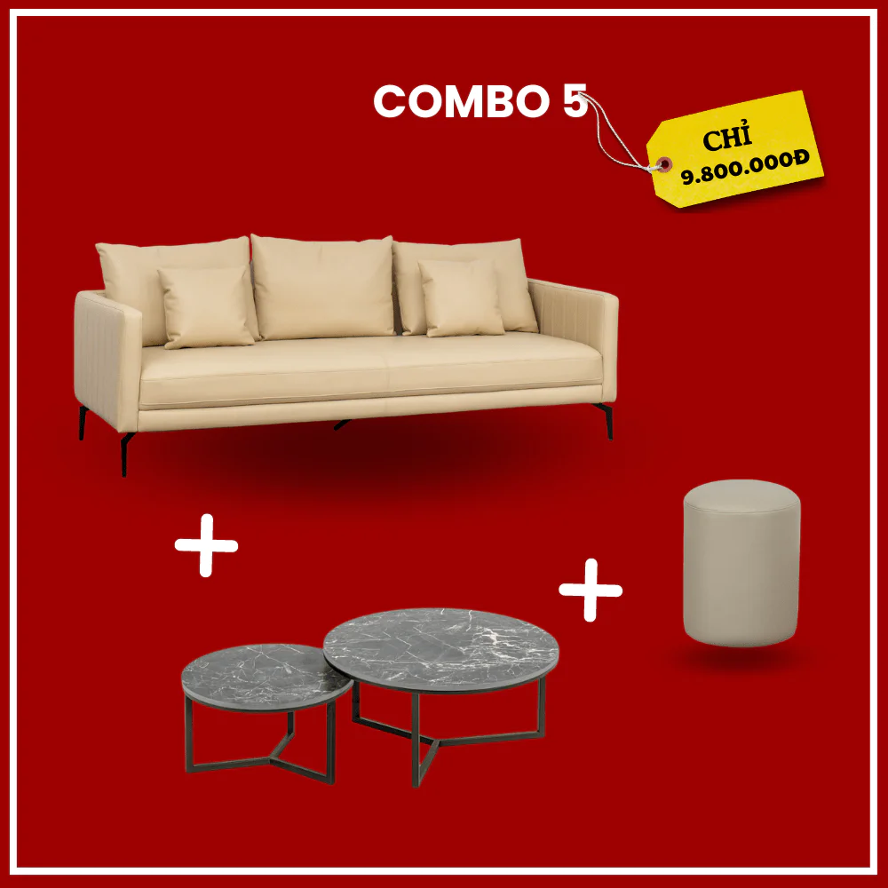 Combo sofa – ảnh 26