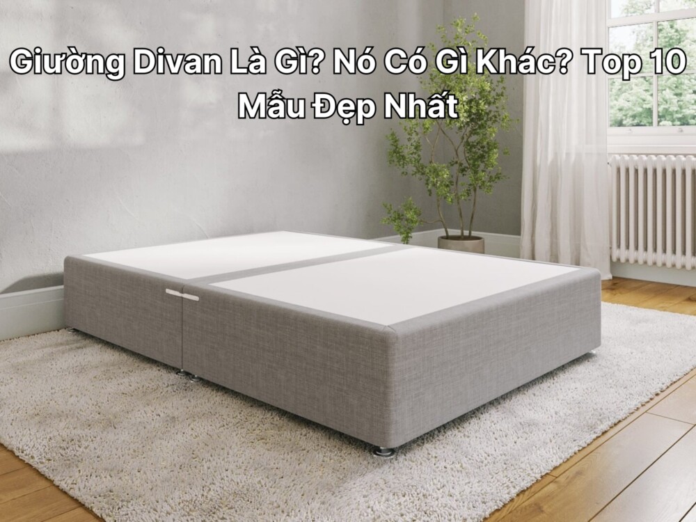 Giường Divan Là Gì? Nó Có Gì Khác? Top 10 Mẫu Đẹp Nhất