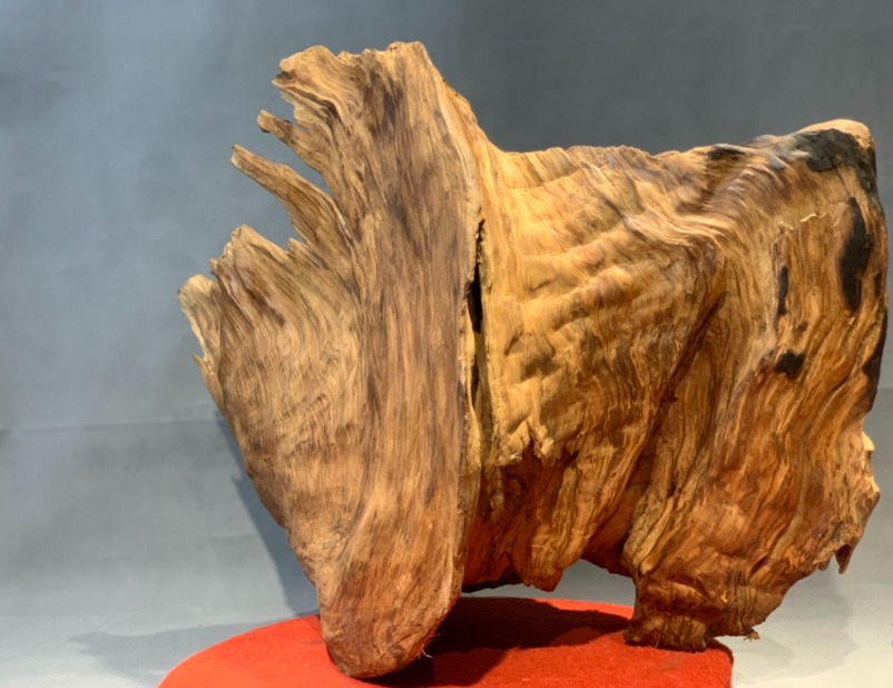 Khối gỗ ngọc am vân uốn lượn tự nhiên