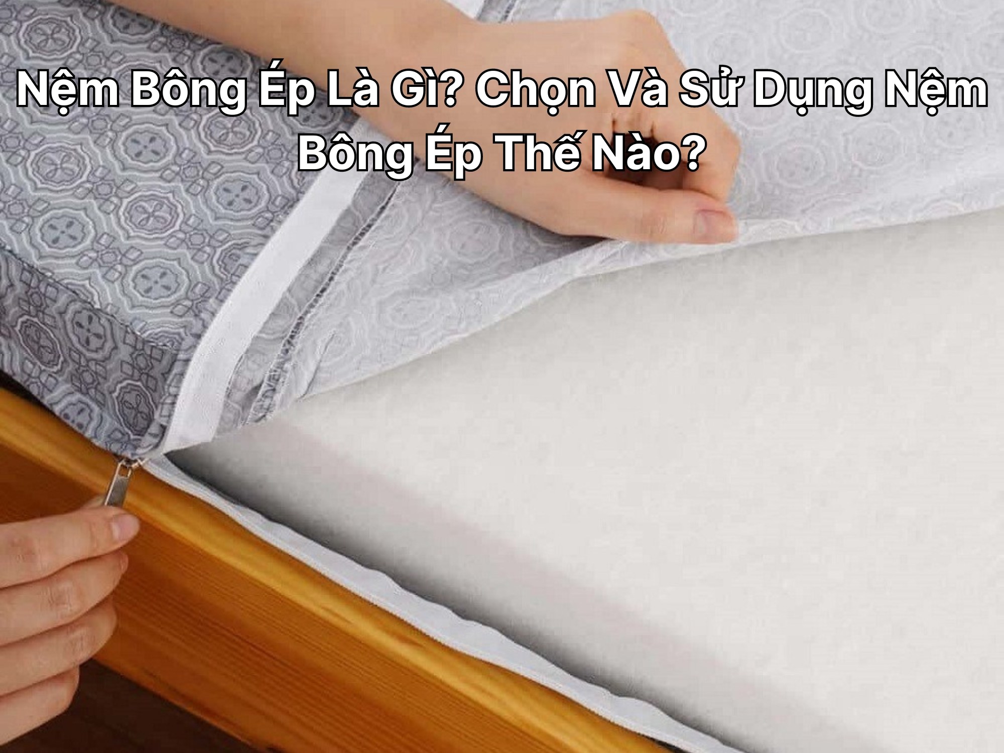 Nệm Bông Ép Là Gì? Chọn Và Sử Dụng Nệm Bông Ép Thế Nào?
