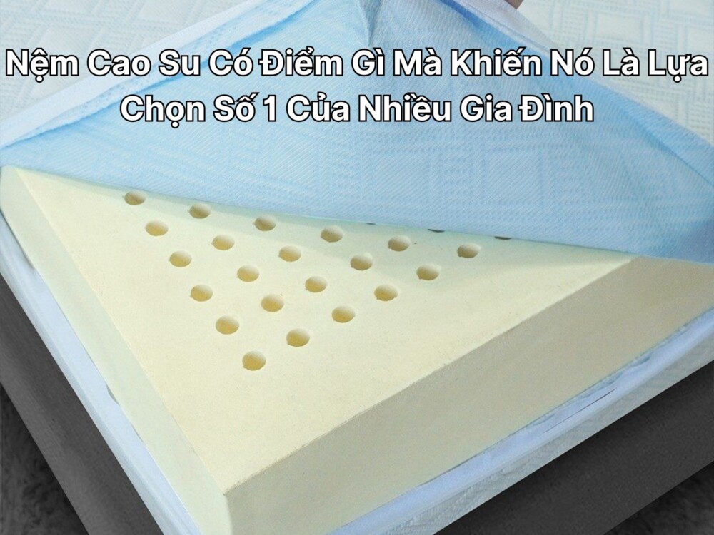 Nệm Cao Su Có Điểm Gì Mà Khiến Nó Là Lựa Chọn Số 1 Của Nhiều Gia Đình