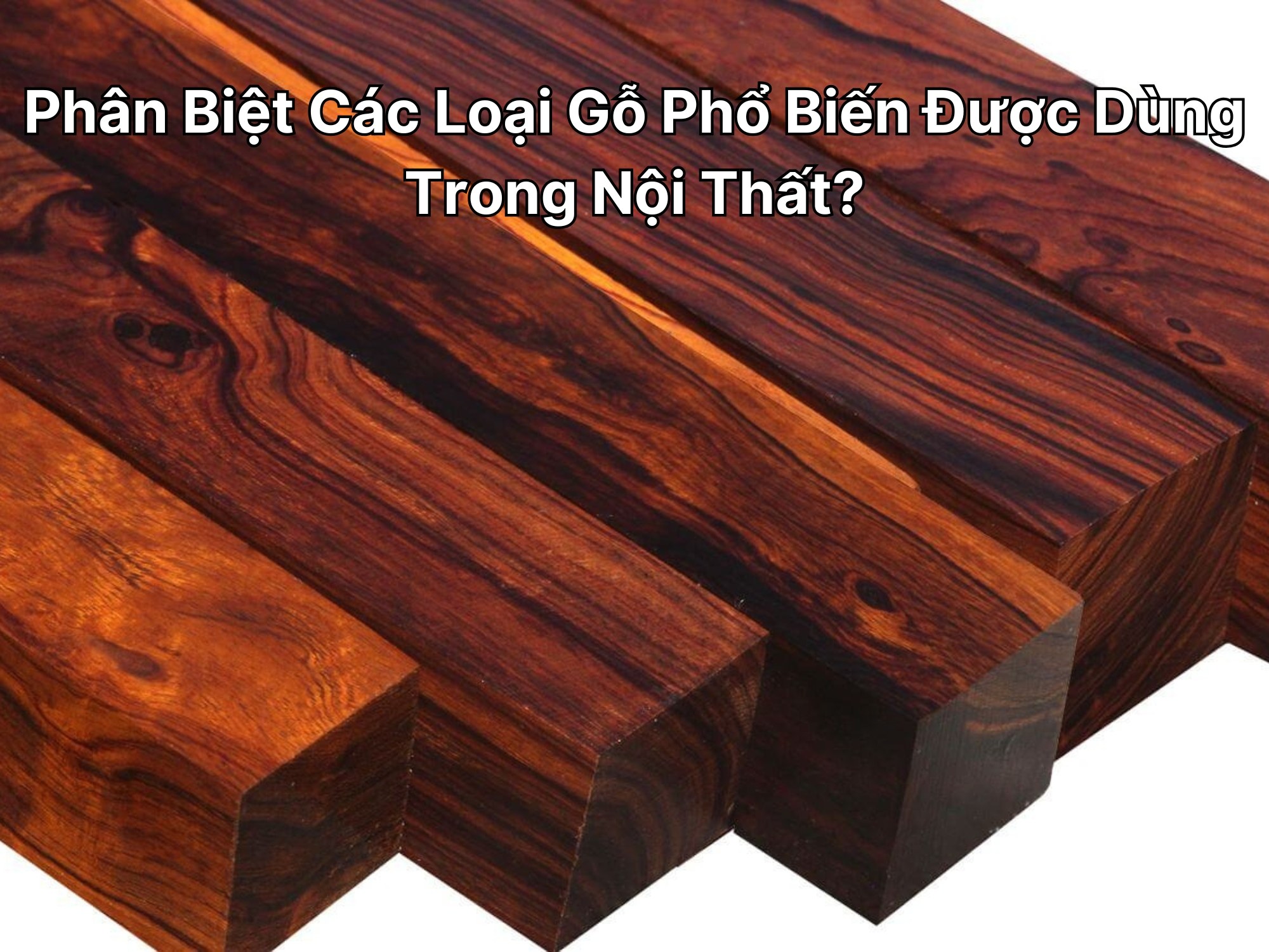 Phân Biệt Các Loại Gỗ Phổ Biến Được Dùng Trong Nội Thất?