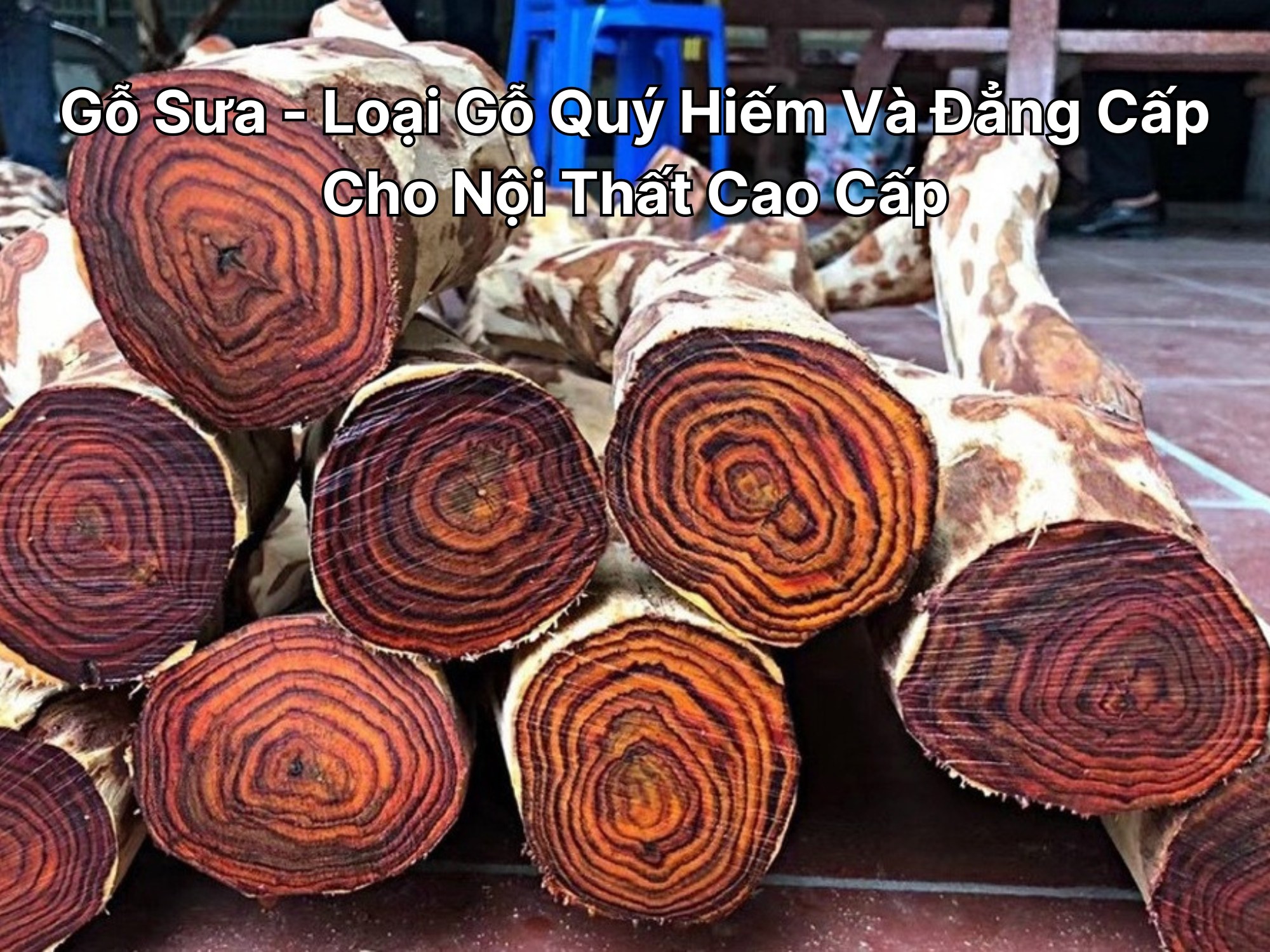 Gỗ Sưa - Loại Gỗ Quý Hiếm Và Đẳng Cấp Cho Nội Thất Cao Cấp