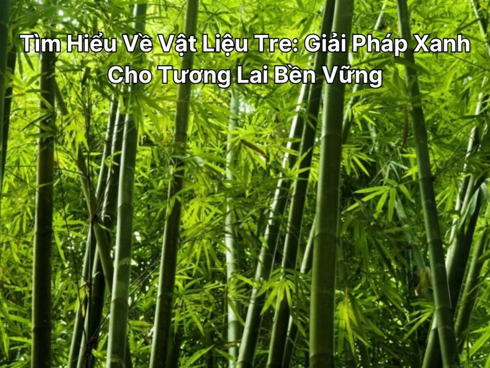 Tìm Hiểu Về Vật Liệu Tre: Giải Pháp Xanh Cho Tương Lai Bền Vững
