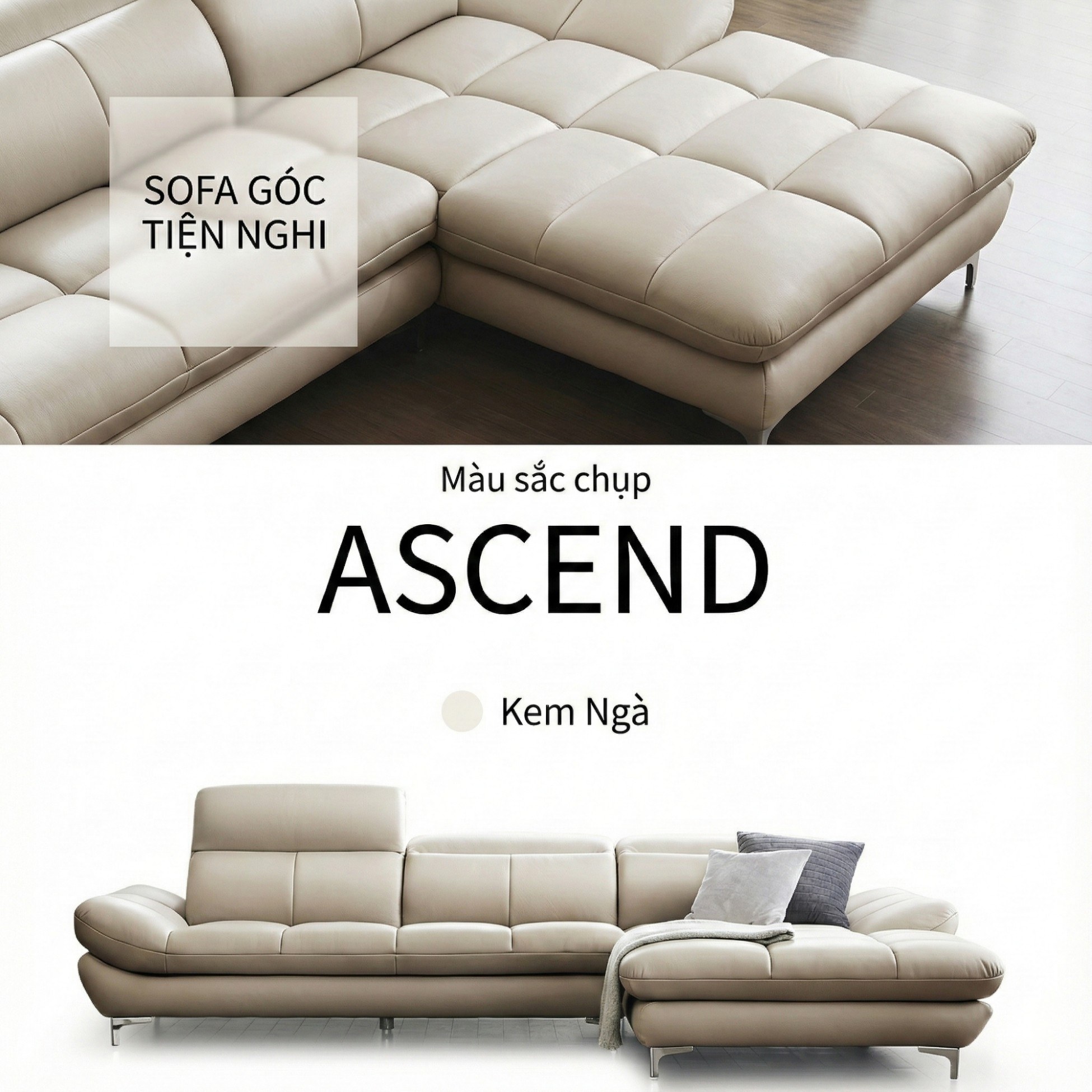 Sofa ASCEND - Sofa Băng Hiện Đại Cho Chủ Nhà Trẻ Trung