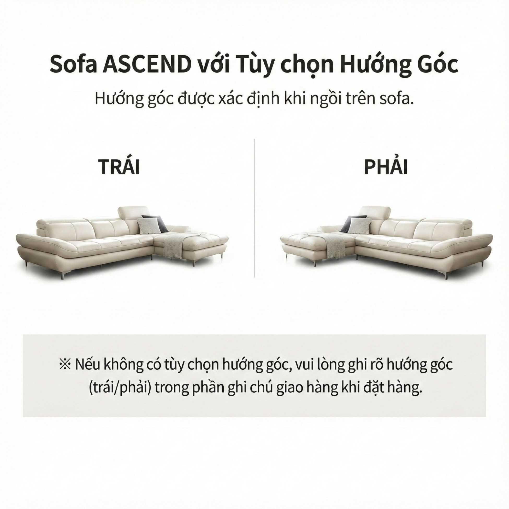 Sofa ASCEND - Sofa Băng Hiện Đại Cho Chủ Nhà Trẻ Trung