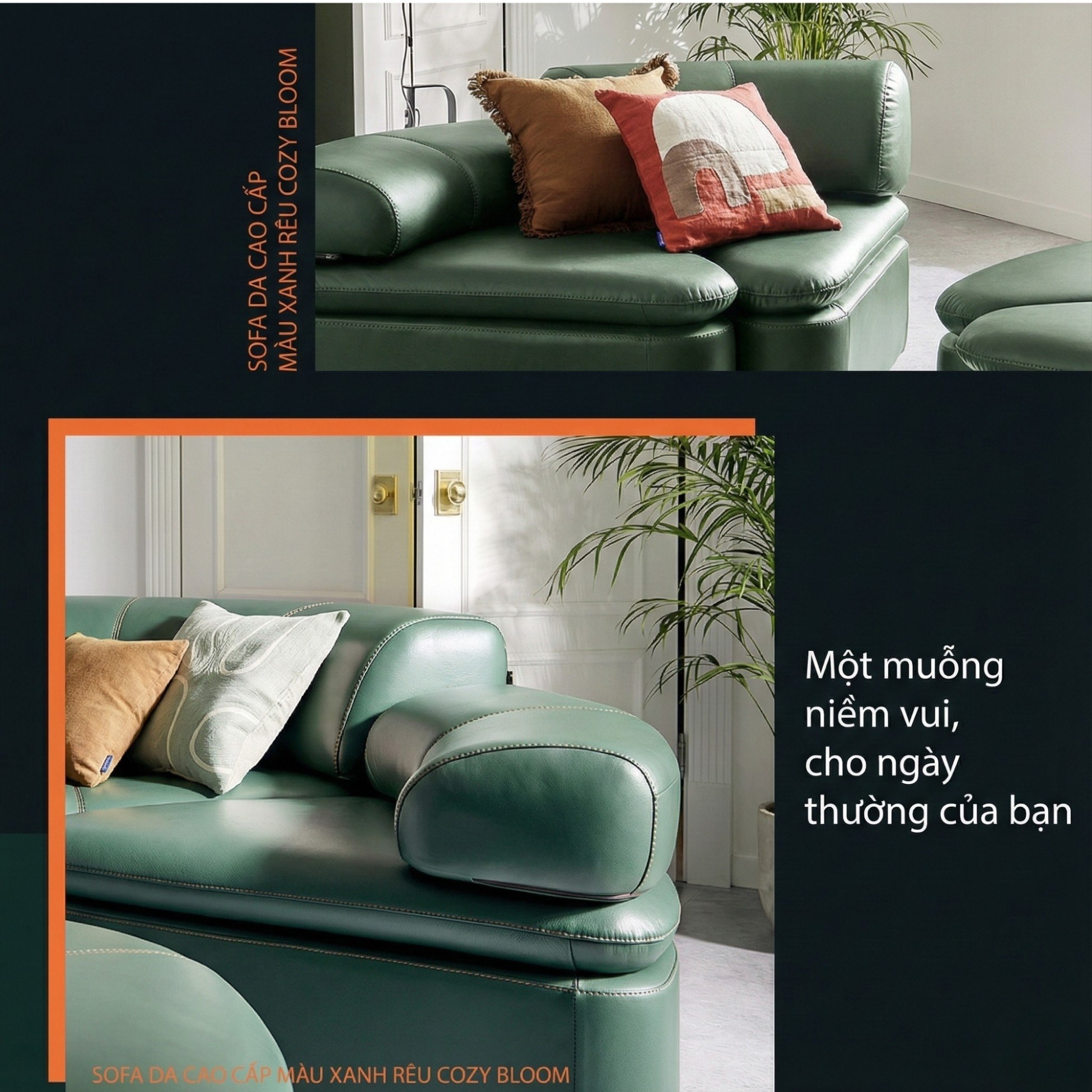 Sofa COZY BLOOM – Sofa Module Tròn Thiết Kế Độc Đáo