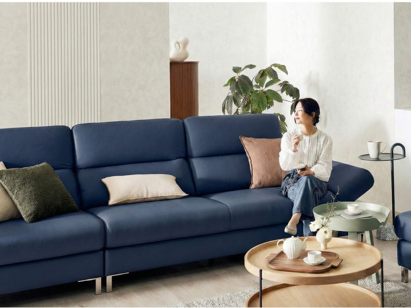 Sofa SERENE - Sofa Da Hiện Đại Đầy Đỉnh Cao Cho Sự Êm Ái (Hàng Order)