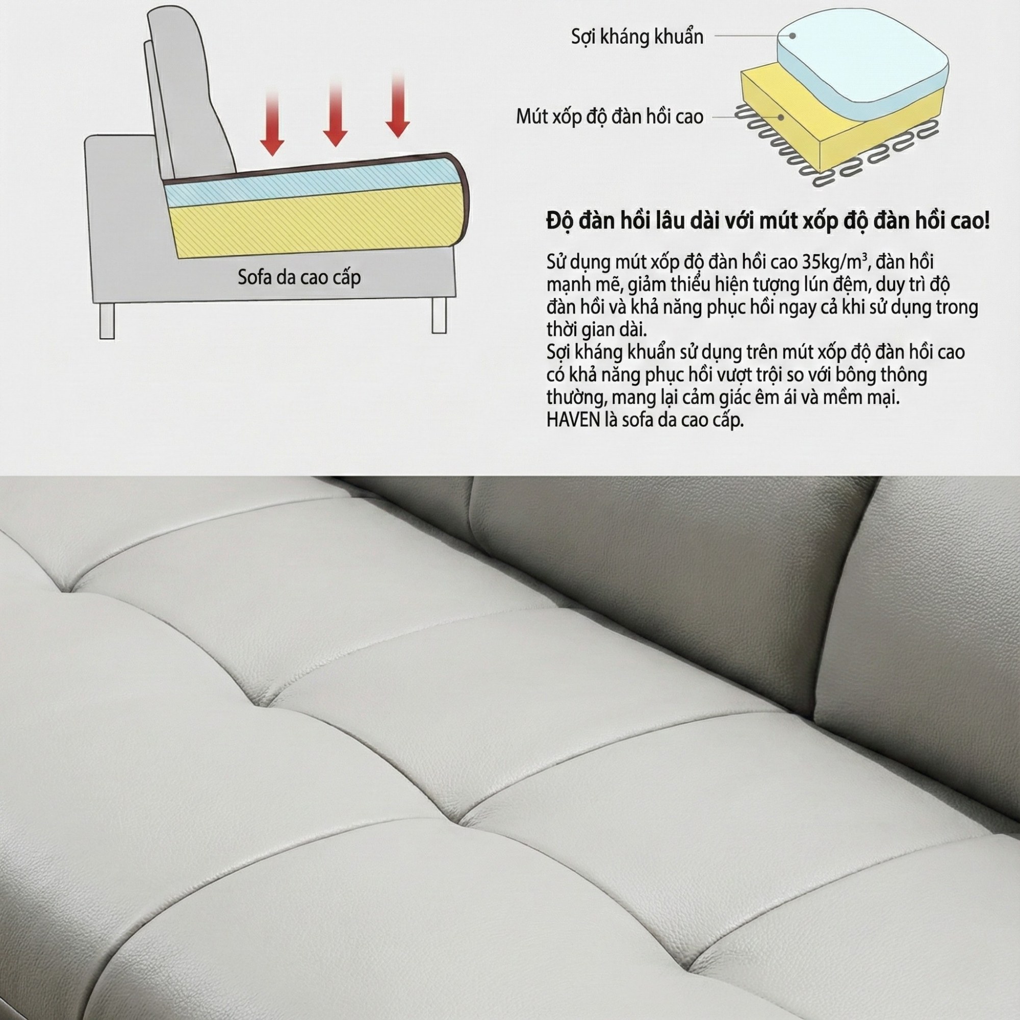 sofa hiện đại bọc da haven