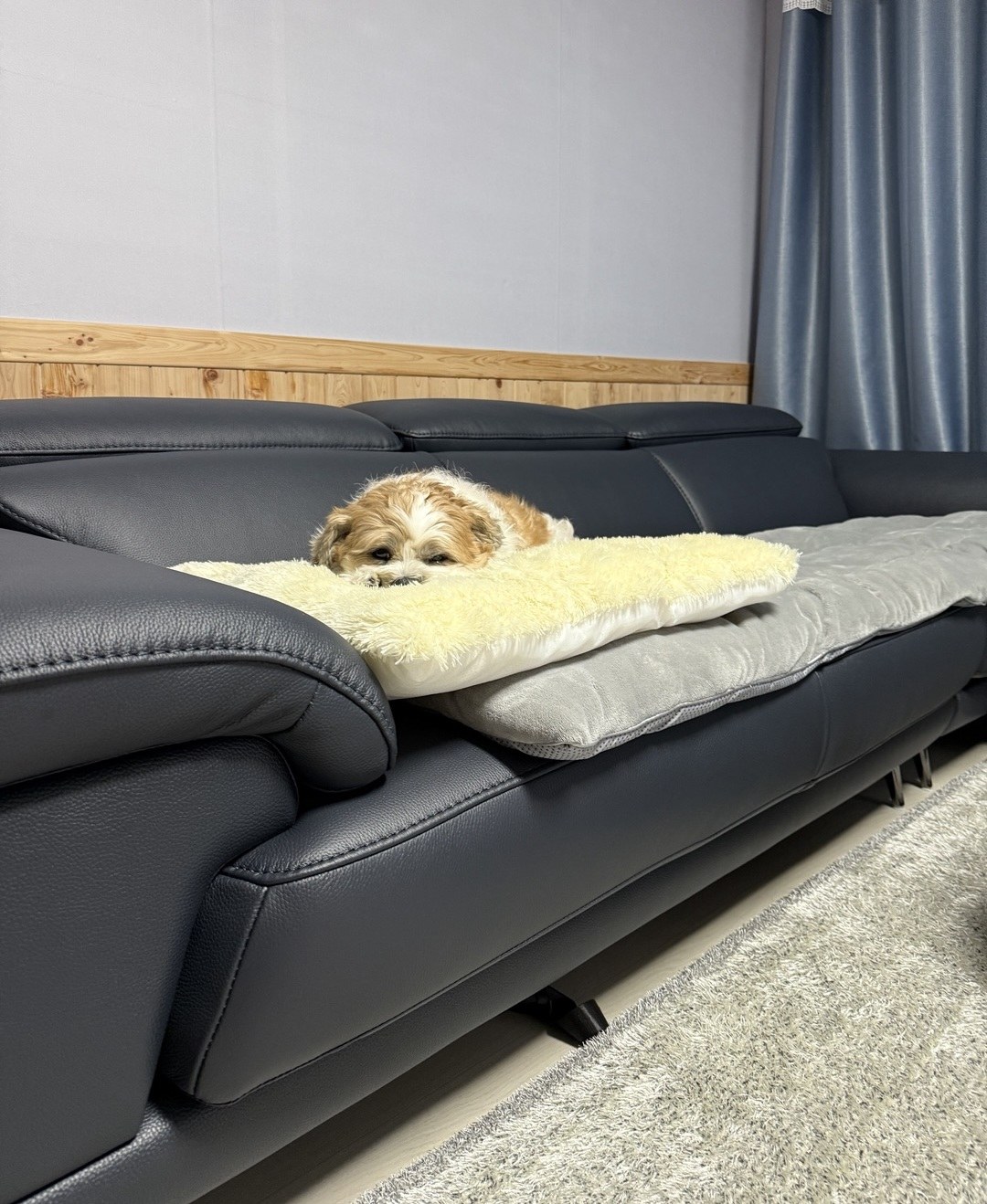Sofa ROWAN – Sofa Phòng Khách Hiện Đại Bọc Da Với Đầu Thông Minh